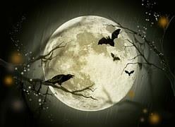 Bats and Raven under Full Moon